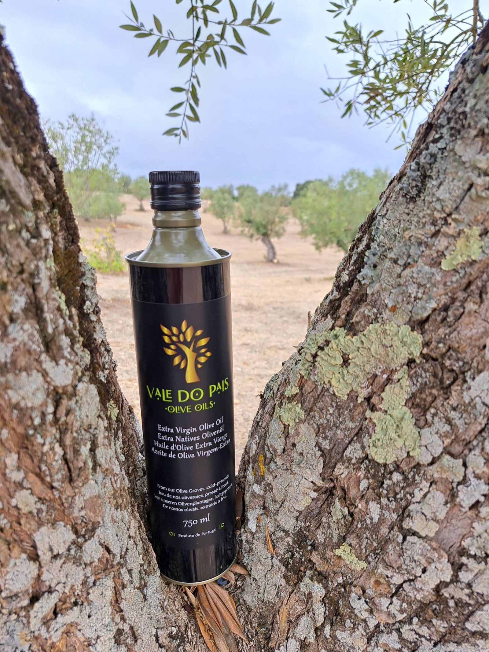 Extra-Virgin Olive Oil✫High Polyphenols✫1x750ml